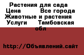 Растения для сада › Цена ­ 200 - Все города Животные и растения » Услуги   . Тамбовская обл.